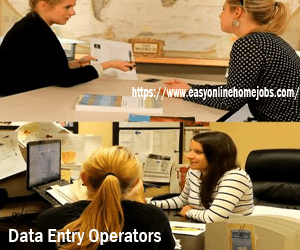 Data Entry Operator