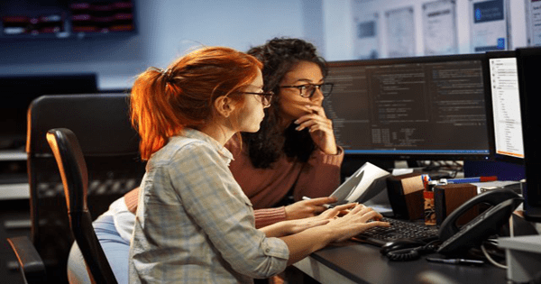 Software Developer